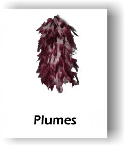 marching band plumes icon