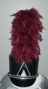 marching band shako with plume