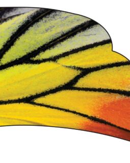 Butterfly Wing Flag (Scalloped Trapezoid)