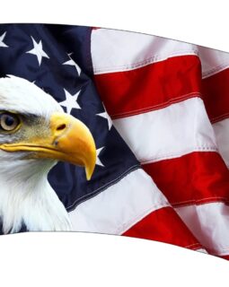 Bald Eagle Flag