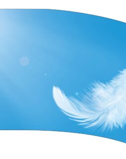 Feather Flag