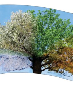 Tree Flag 01